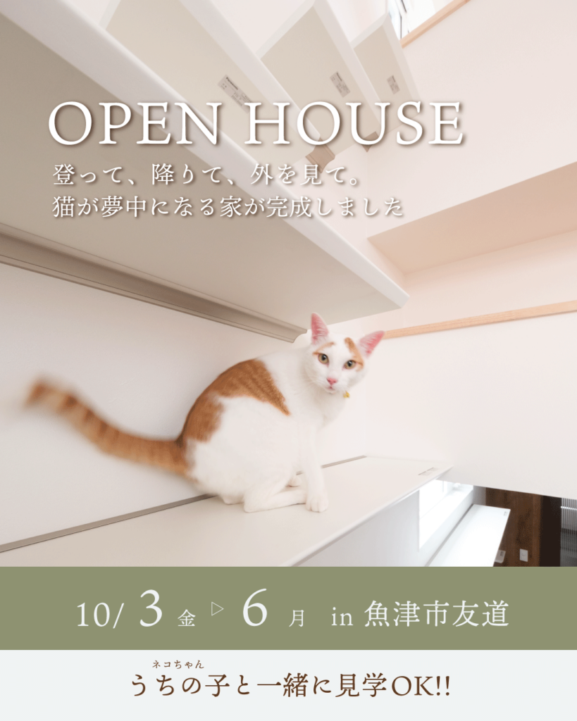 10/3(金)～6(月)【魚津市友道】登って、降りて、外を見て。猫が夢中になる家