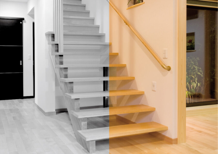 右が人間が見ている世界、左が犬が見ている世界