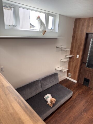 猫と犬の同時飼育も難しいです。