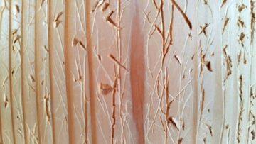 腰壁なら、傷がついても張り替えたりが可能です。