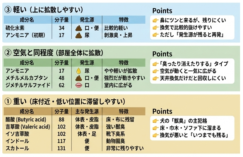 猫トイレの臭いはどうしても空気より重いものが多く、床面付近に滞留しやすいのが特徴