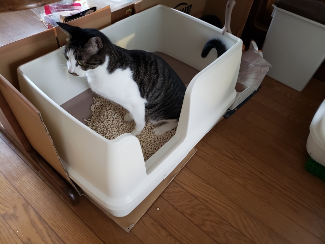 トイレ前がフローリングだとどうしても滑りやすい