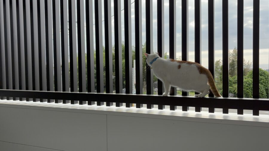 まさか！に備えておくのが住宅の役目です。