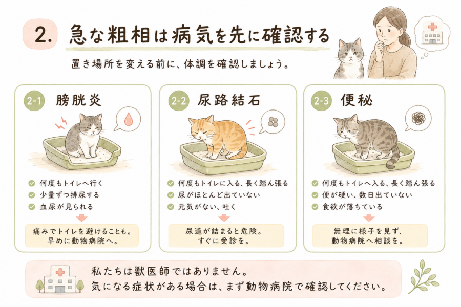 猫　粗相　病気の可能性